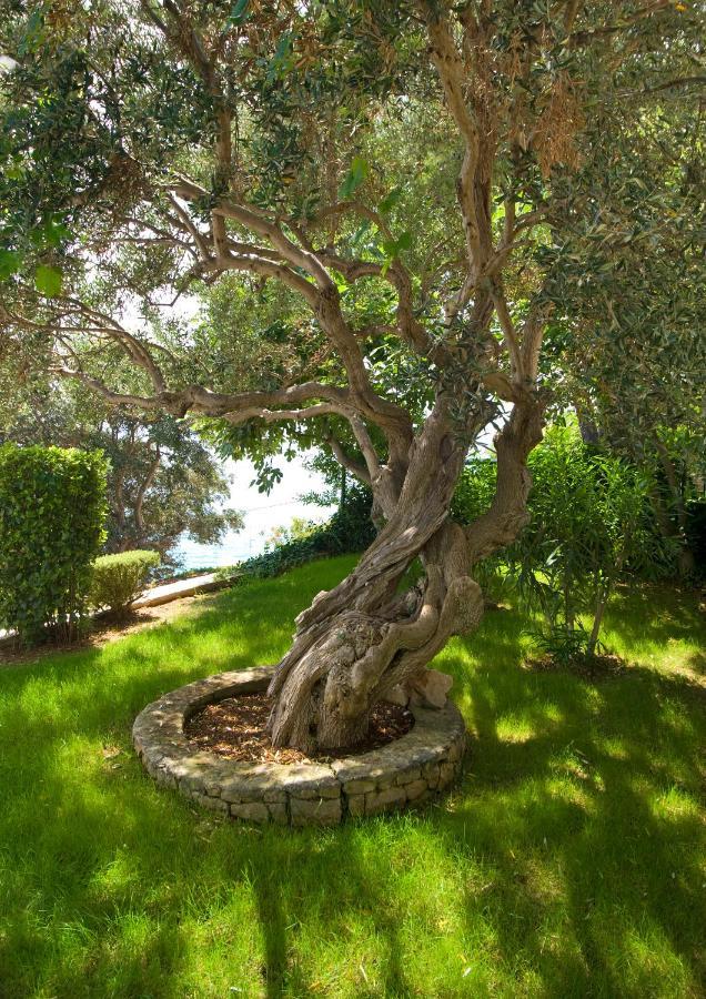 Holiday Home Duje Trogir Buitenkant foto