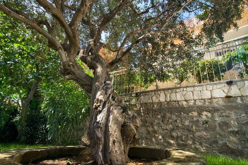Holiday Home Duje Trogir Buitenkant foto